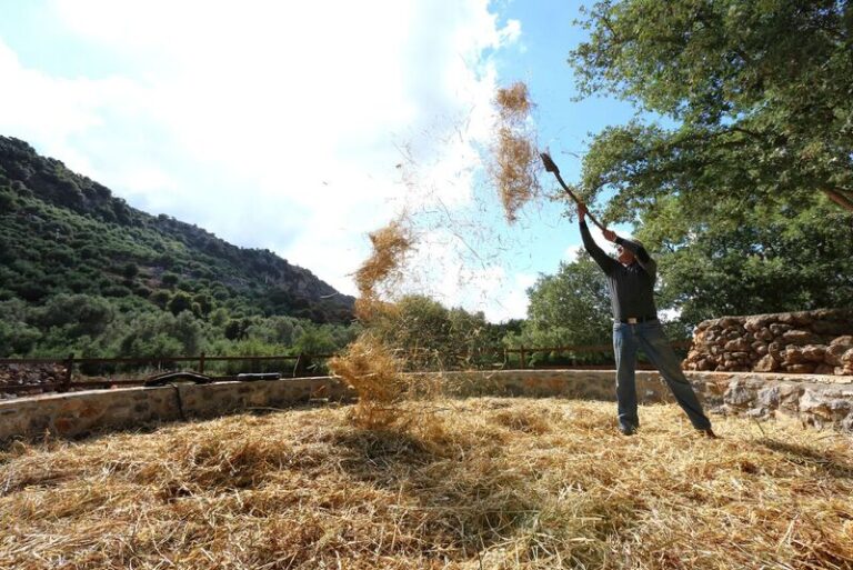 Μάθημα μαγειρικής σε παραδοσιακή φάρμα στην Κρήτη