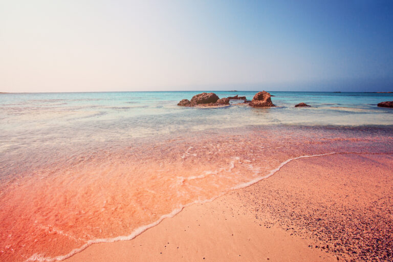 Elafonissi Pink Beach-Full Day Tour