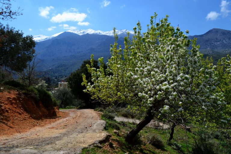 Botanical Garden of Crete and Therisso Village