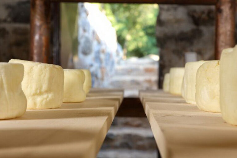 Village Life Experience with Cheese Making ,Cooking class and Lunch